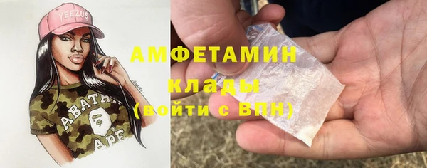стаф Алексин