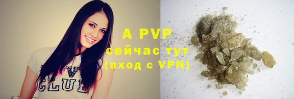 PSILOCYBIN Сосновка