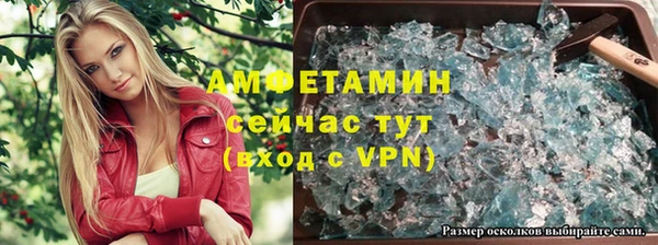 стаф Алексин
